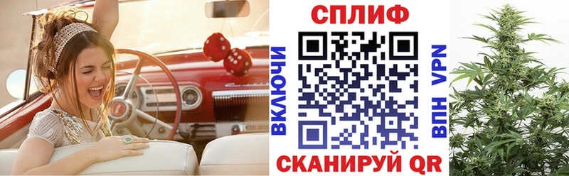 где купить наркотик  Кинешма  Бошки Шишки марихуана 